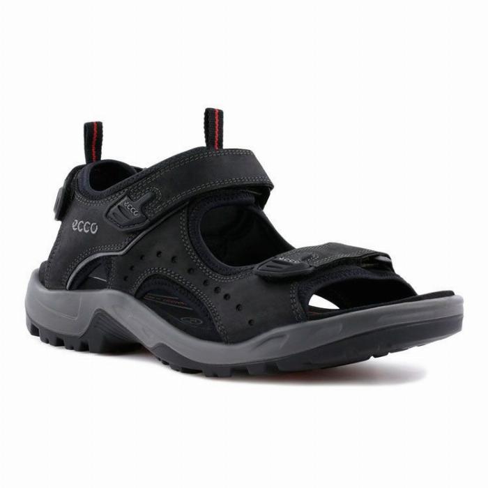 Ecco Offroad Andes II Sandal Herre