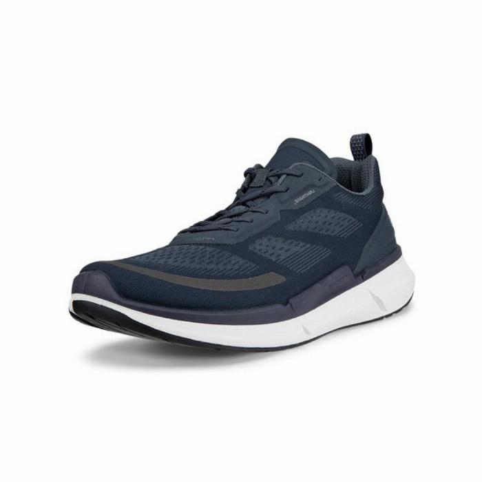 Ecco Biom 2.2 Low Herresko