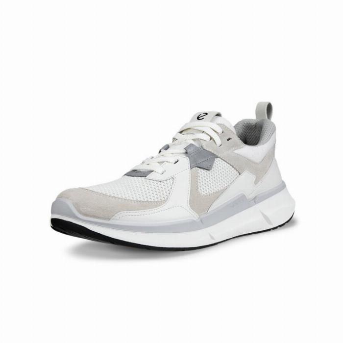 Ecco Biom 2.2 Herresko