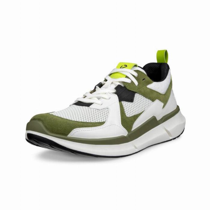 Ecco Biom 2.2 Herresko