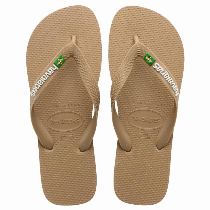 Havaianas Slippers Unisex Brazil Logo 4110850 - Rose Gold3581