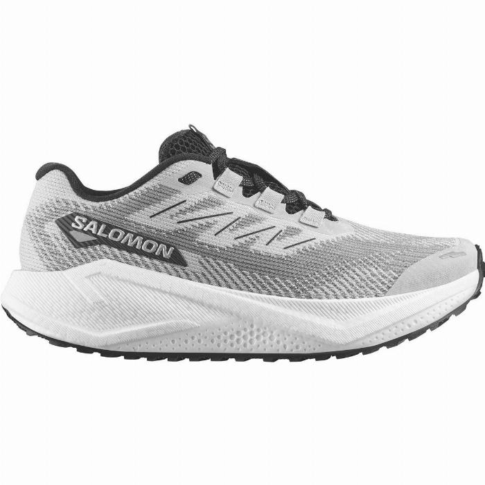 Salomon Aero Blaze 3 GRVL Løbesko Herre