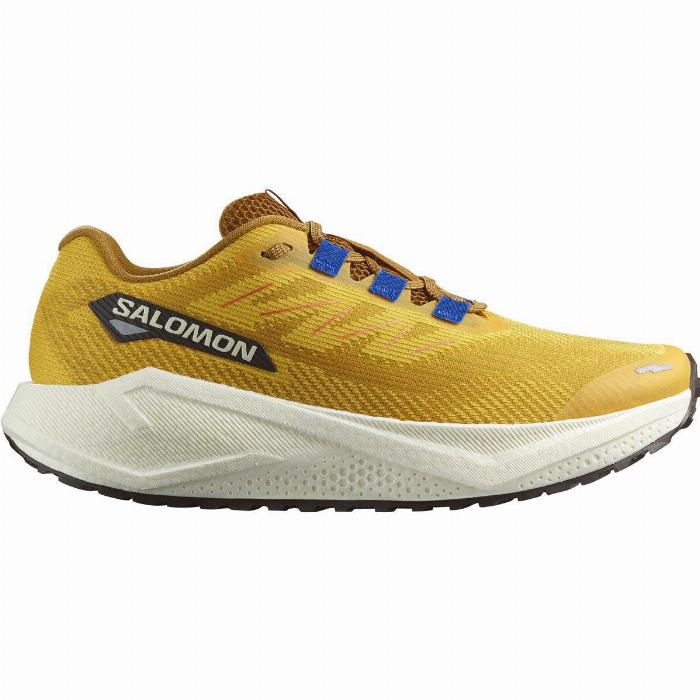 Salomon Aero Blaze 3 GRVL Løbesko Herre