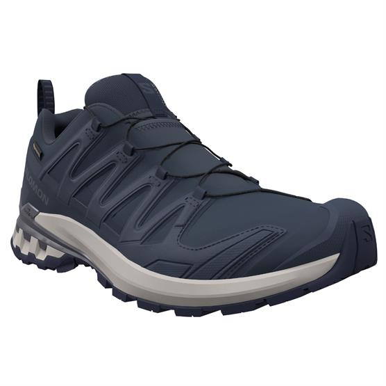Salomon XA Pro 3D V9 GTX Mens, Spellbound / Grisaille