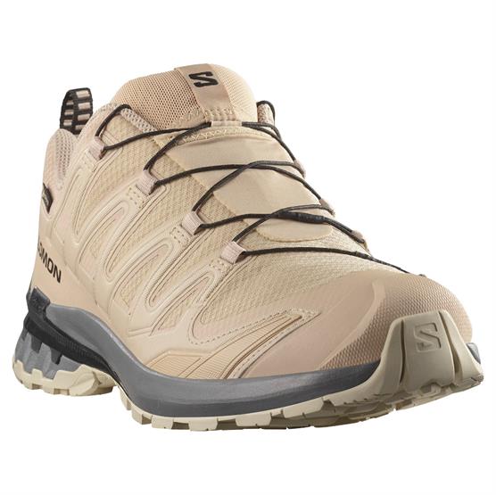 Salomon XA Pro 3D V9 GTX Mens, Oxford / Castlerock